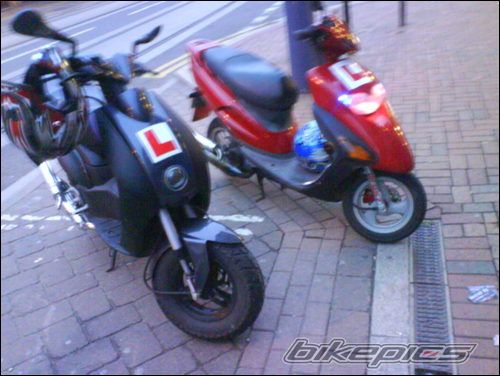 2000 HONDA SFX | Picture 1000127 motorcycle photo