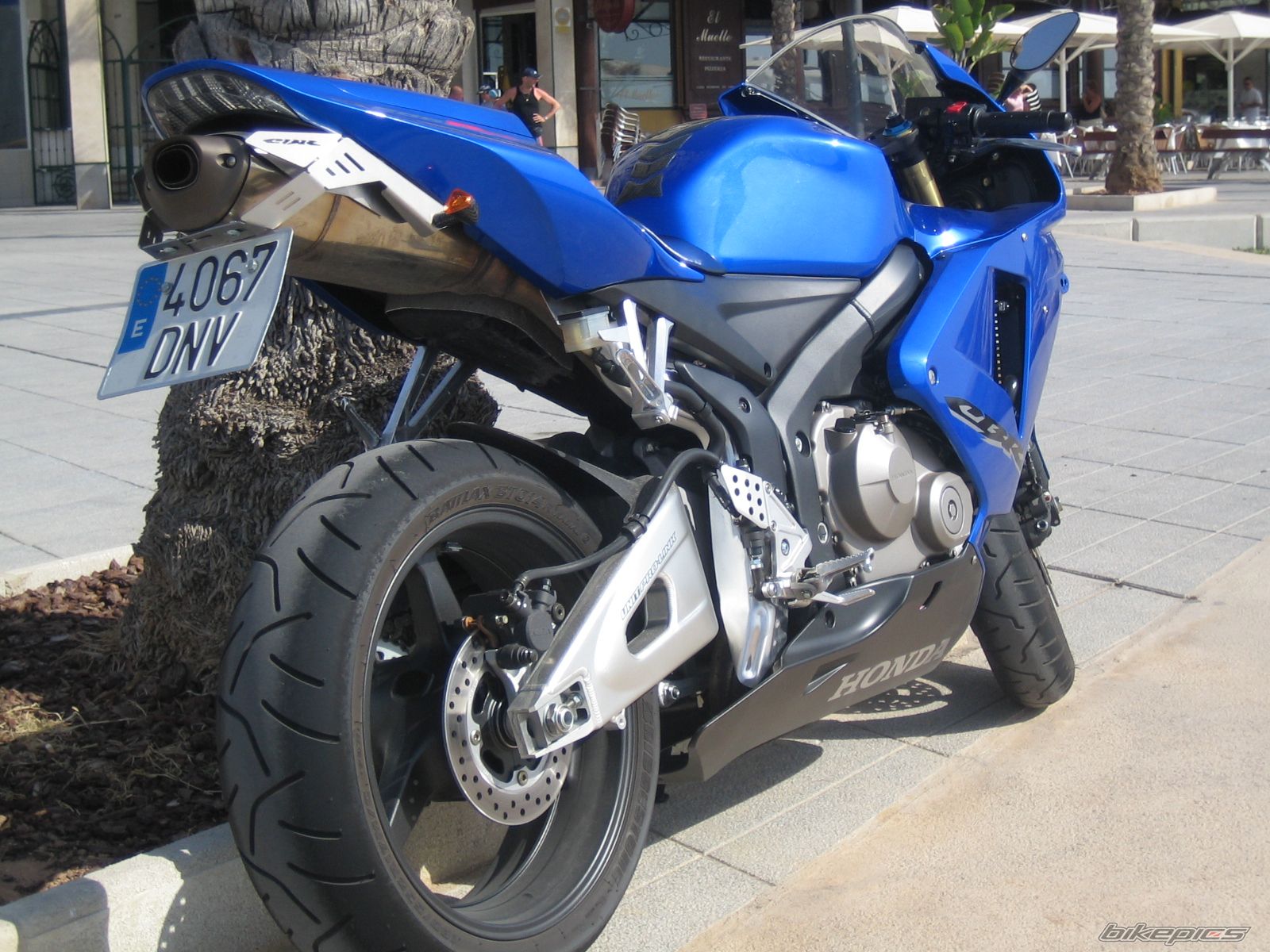 2005 HONDA CBR 600 RR | Picture 1000714 motorcycle photo