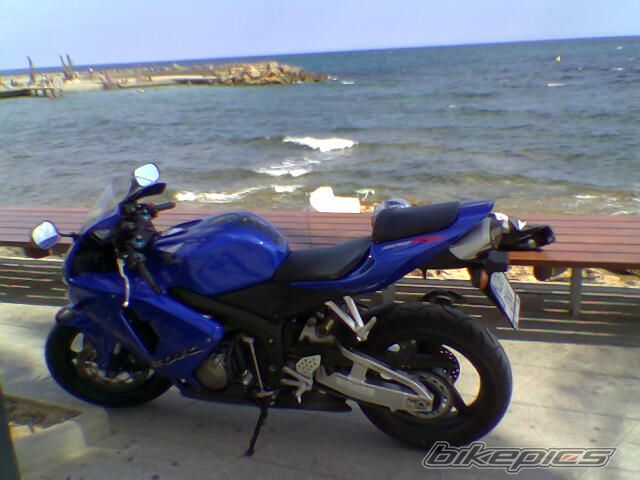 2005 HONDA CBR 600 RR | Picture 1000732 motorcycle photo