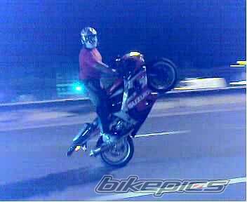 2002 SUZUKI GSX R 1000 | Picture 1000814 motorcycle photo