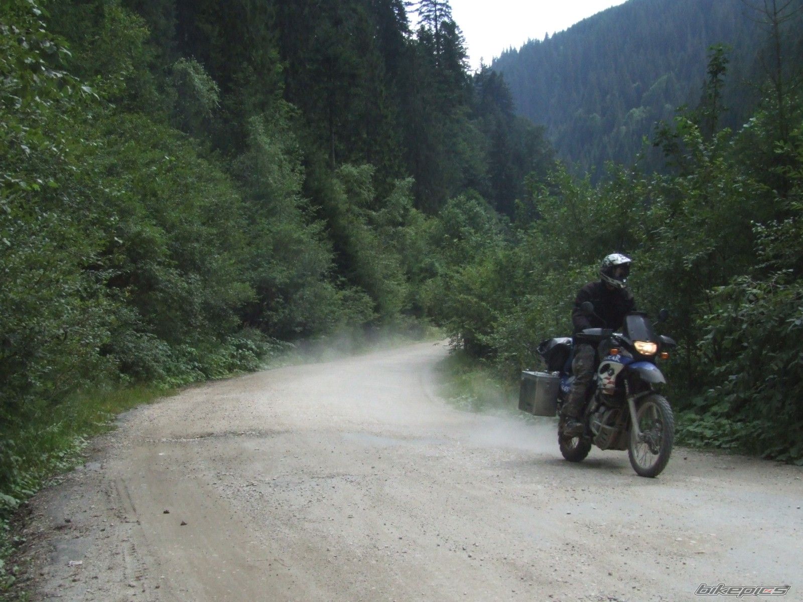 2003 BMW F 650 GS DAKAR | Picture 1000905 motorcycle photo