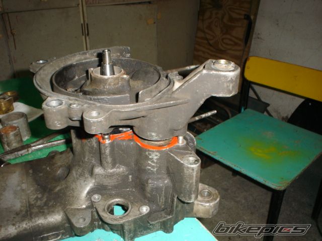 1998 PIAGGIO TYPHOON 50 | Picture 1000950 motorcycle photo