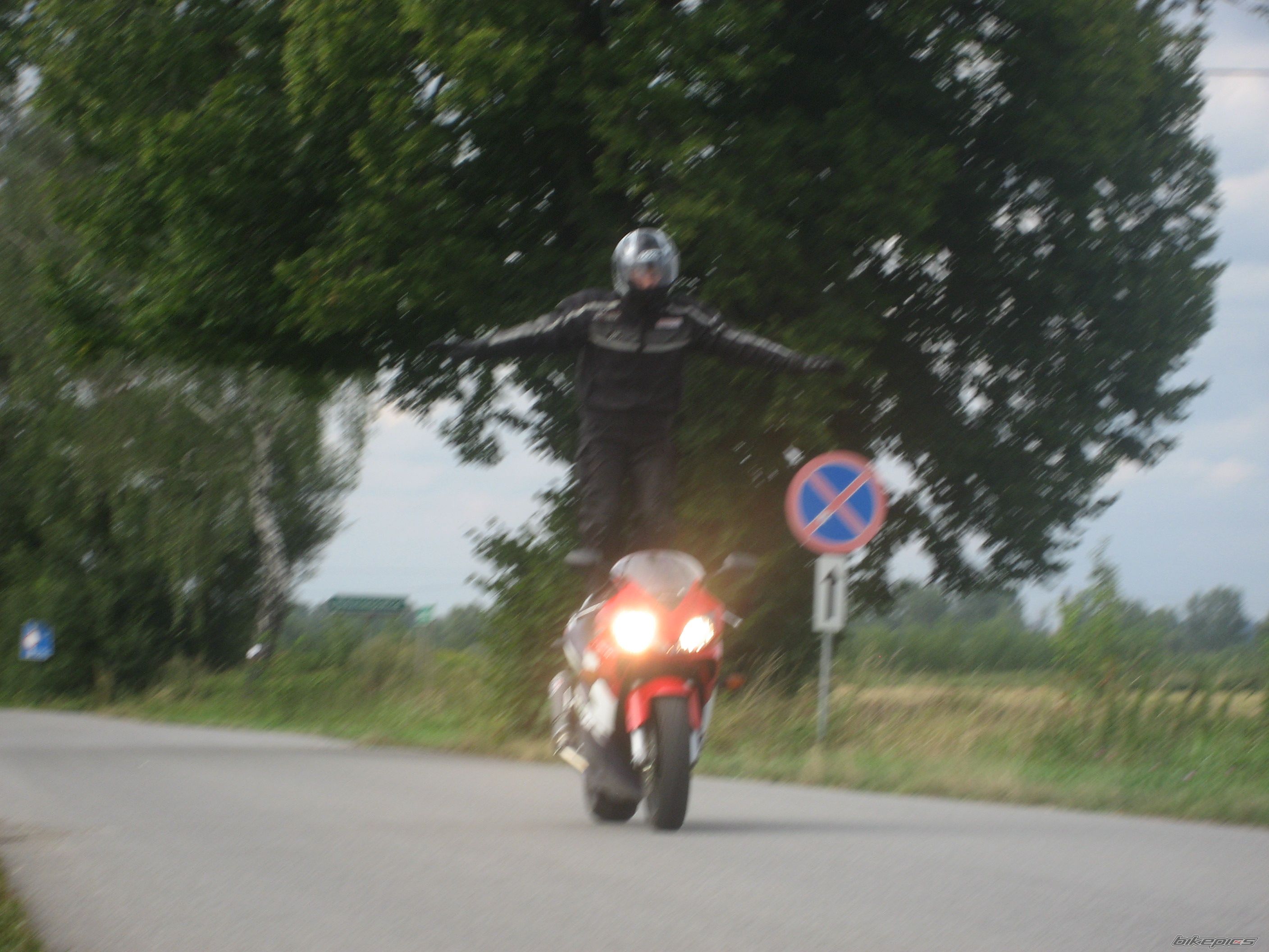 2002 HONDA CBR 600 | Picture 1000961 motorcycle photo