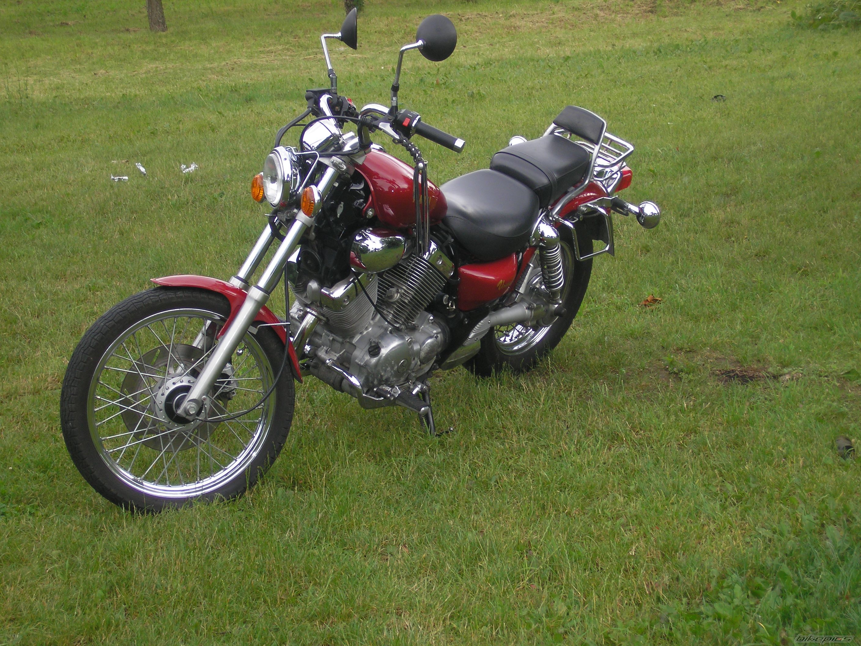 1991 YAMAHA VIRAGO 535 | Picture 1001022 motorcycle photo