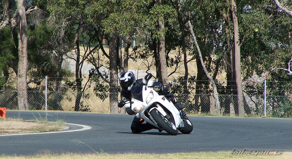 2003 YAMAHA YZF R1 | Picture 1001115 motorcycle photo