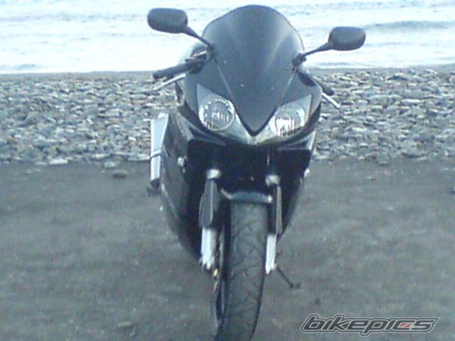 2002 HONDA CBR 600 | Picture 1001131 motorcycle photo