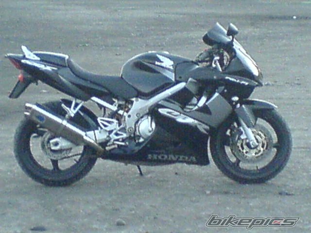 2002 HONDA CBR 600 | Picture 1001133 motorcycle photo