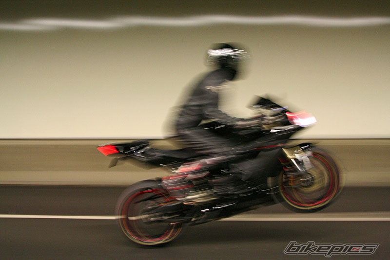 2005 YAMAHA YZF R1 | Picture 1001159 motorcycle photo