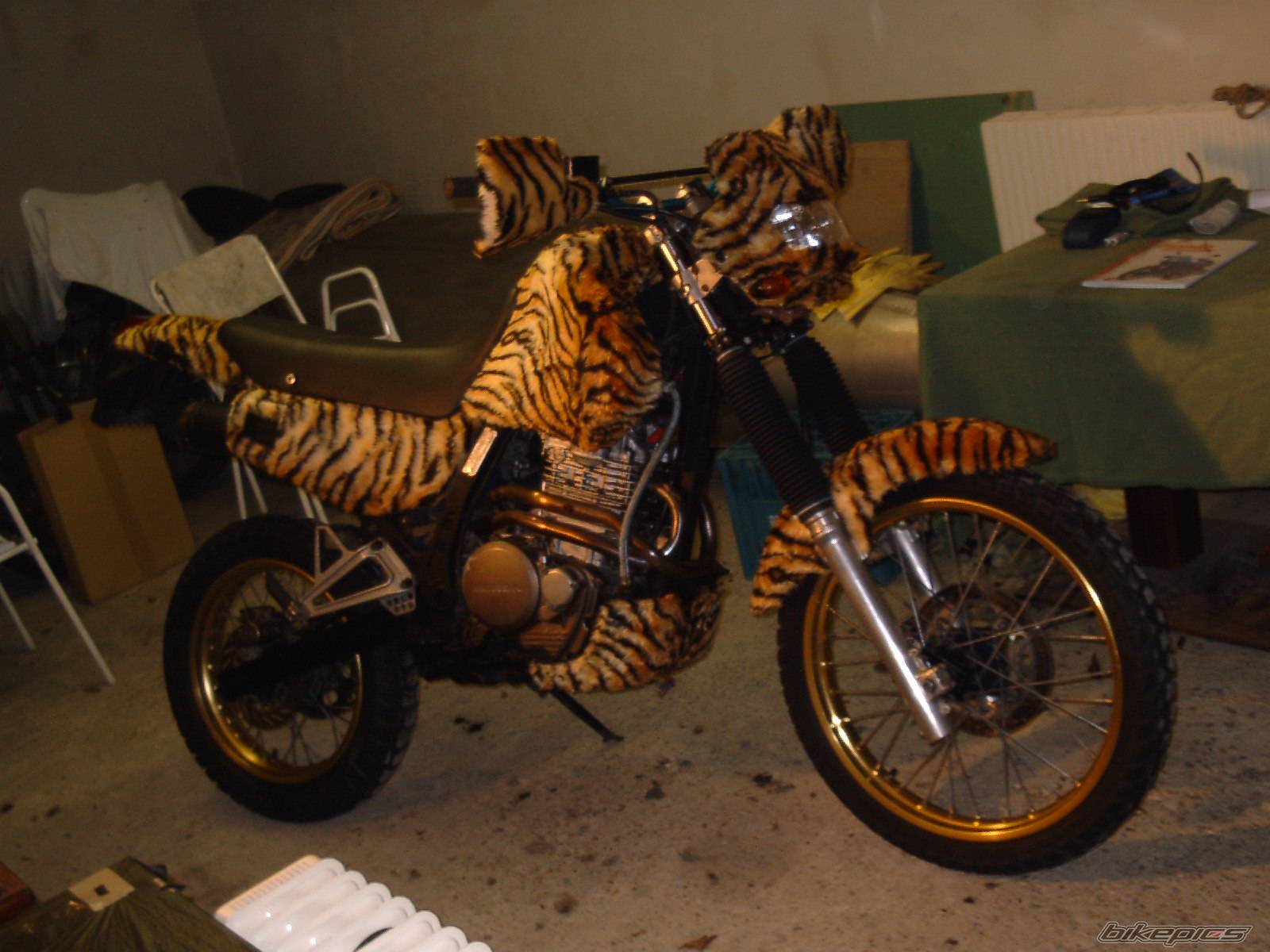 1990 HONDA NX 650 DOMINATOR | Picture 100153 motorcycle photo