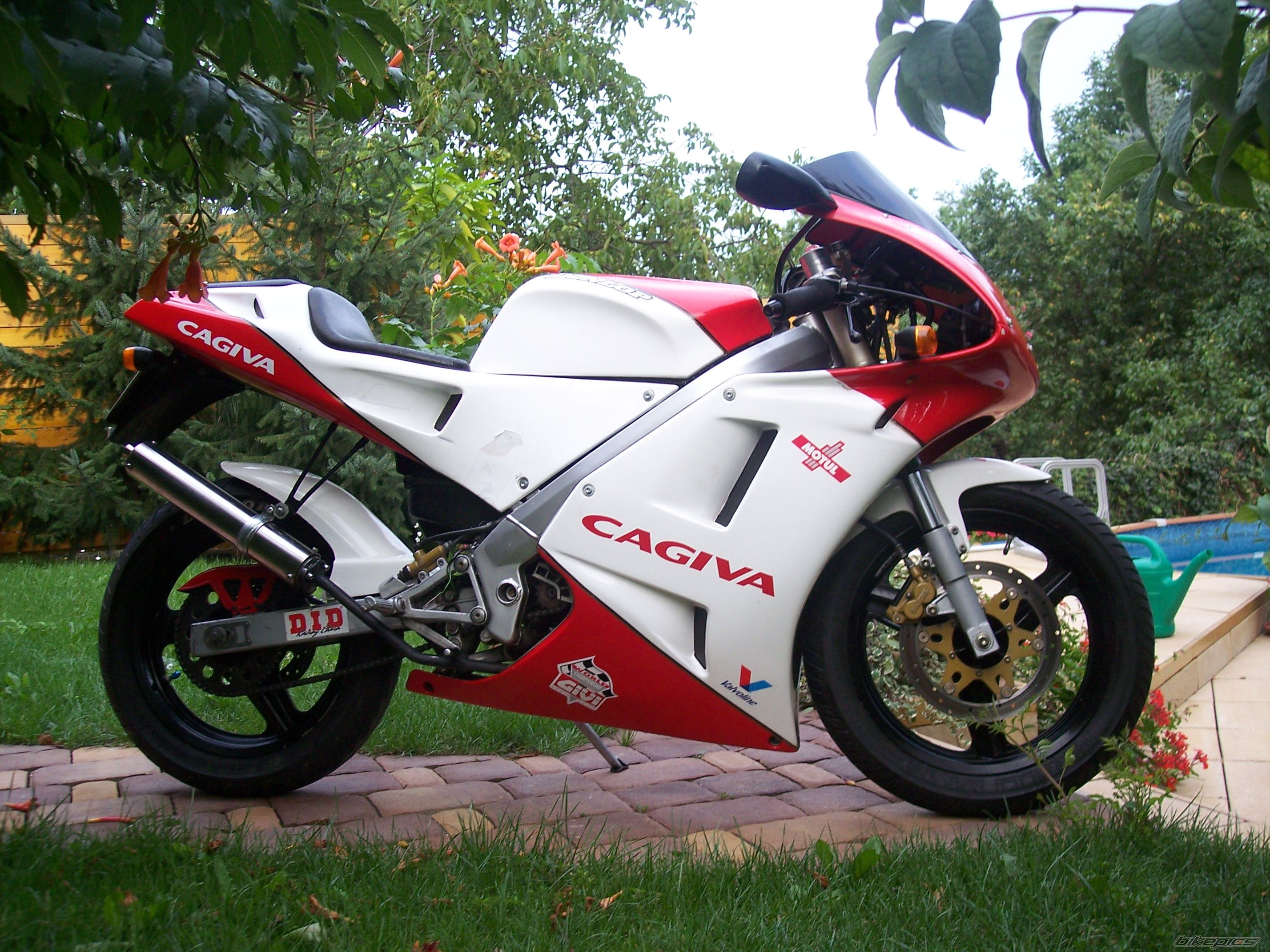1993 CAGIVA PRIMA 50 | Picture 1001620 motorcycle photo