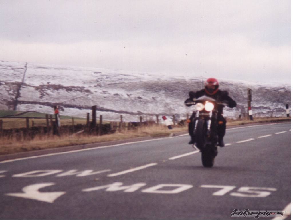 2004 TRIUMPH SPEED TRIPLE | Picture 100218 motorcycle photo