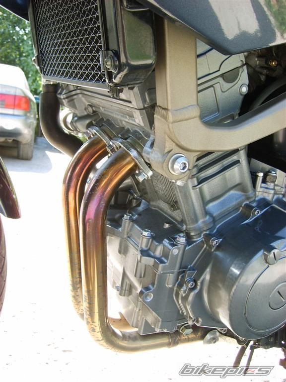 2003 YAMAHA TDM 900 | Picture 1002521 motorcycle photo
