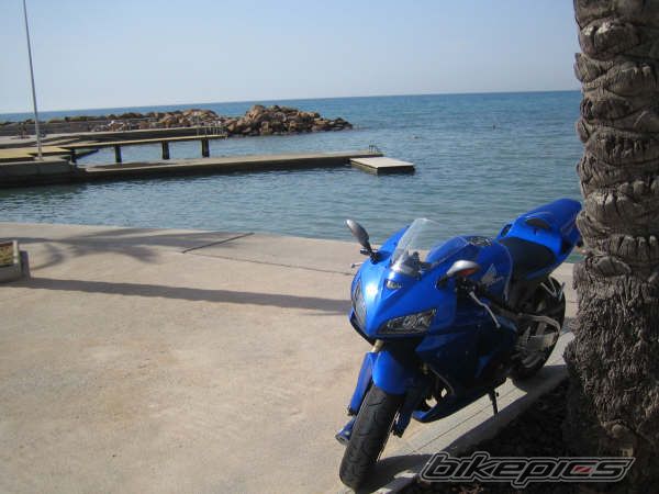 2005 HONDA CBR 600 RR | Picture 1002565 motorcycle photo