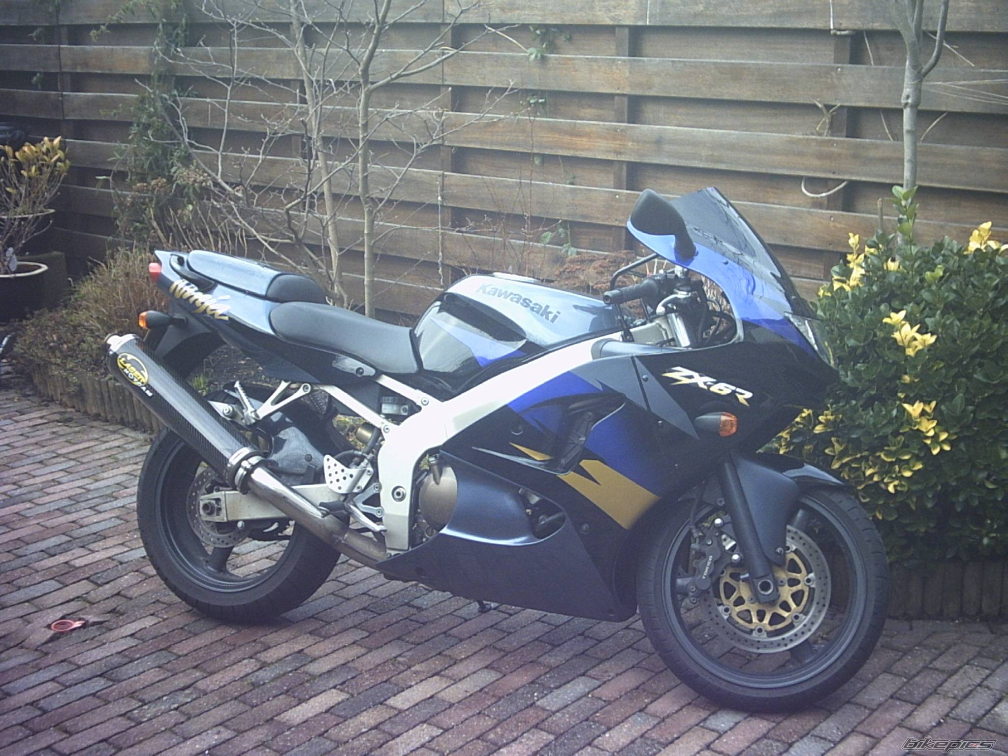 1998 KAWASAKI ZX 6R | Picture 100287 motorcycle photo