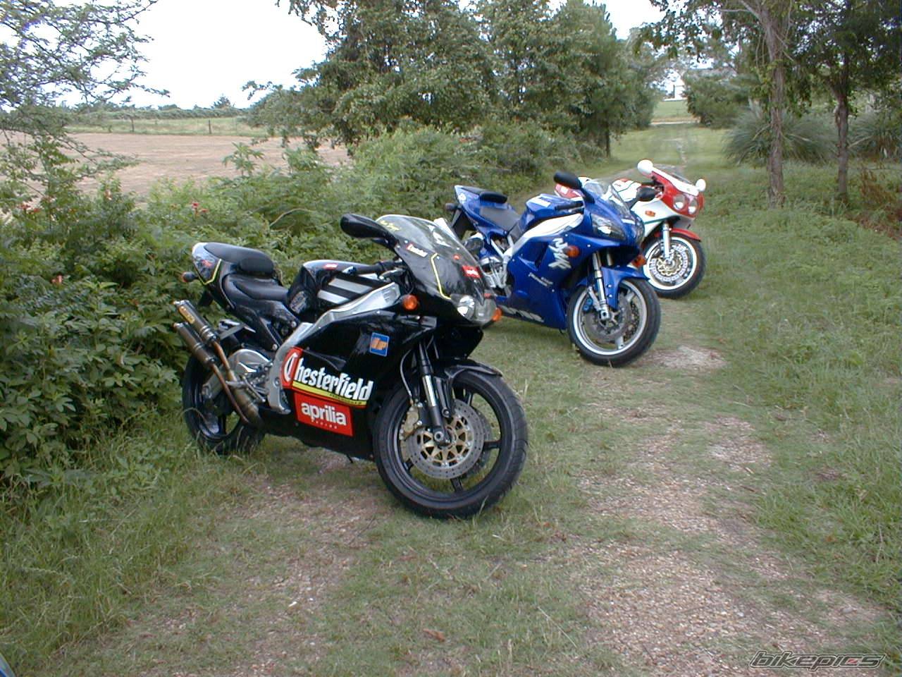 1995 APRILIA RS 250 | Picture 100317 motorcycle photo