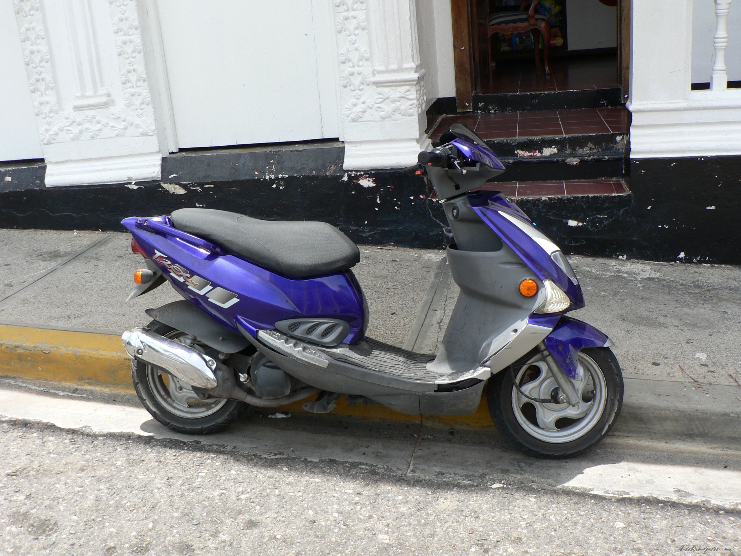 2005 PGO T REX 110 | Picture 1003565 motorcycle photo