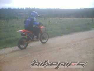 1995 HONDA CR 80 | Picture 100362 motorcycle photo
