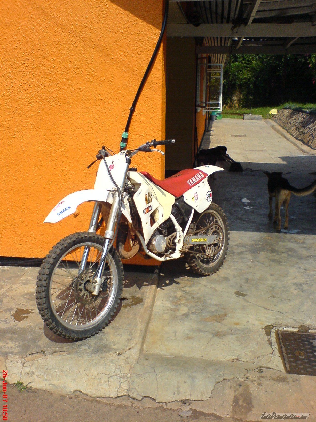1991 YAMAHA YZ 125 | Picture 1003880 motorcycle photo