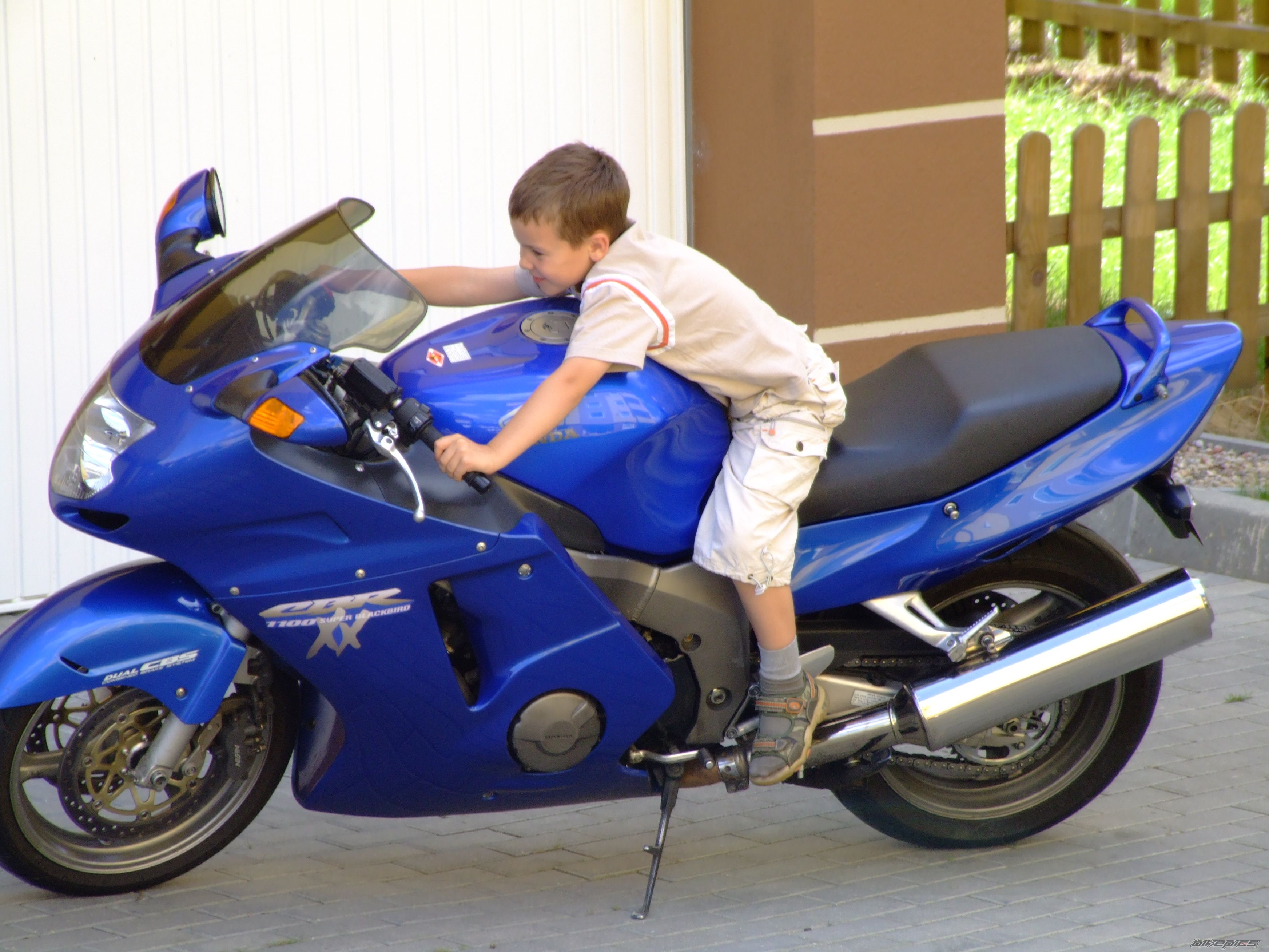 2001 HONDA CBR 1100 BLACKBIRD | Picture 1004496 motorcycle photo