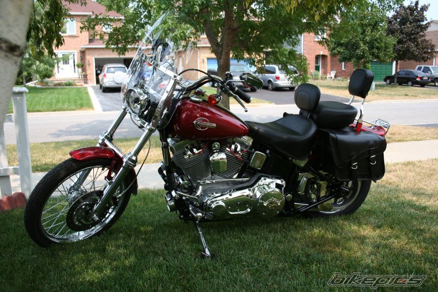 2004 HARLEY DAVIDSON FXST | Picture 1004716 motorcycle photo