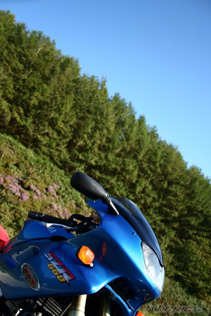 2001 YAMAHA SZR 660 | Picture 1004728 motorcycle photo