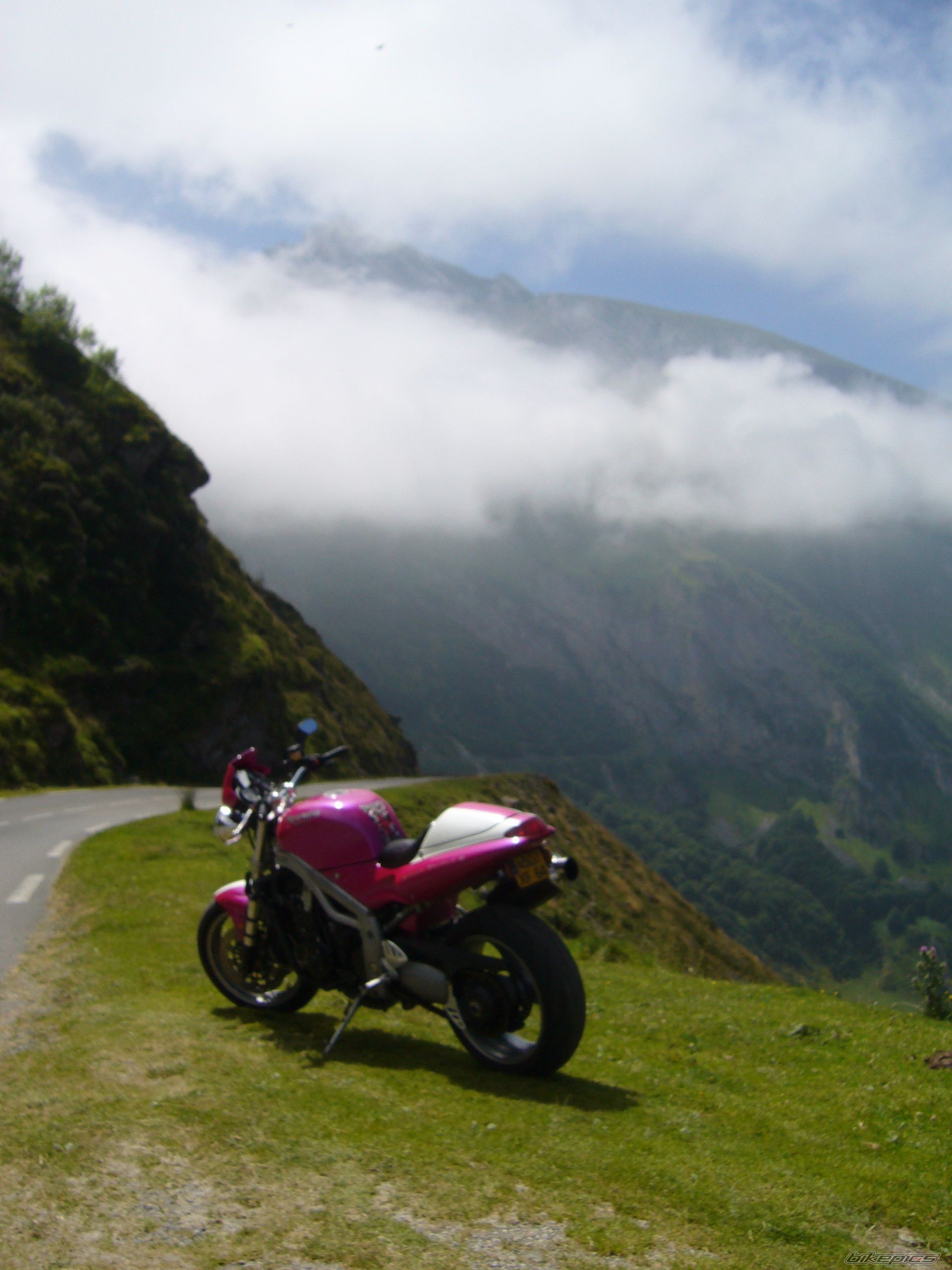 2001 TRIUMPH SPEED TRIPLE | Picture 1004910 motorcycle photo