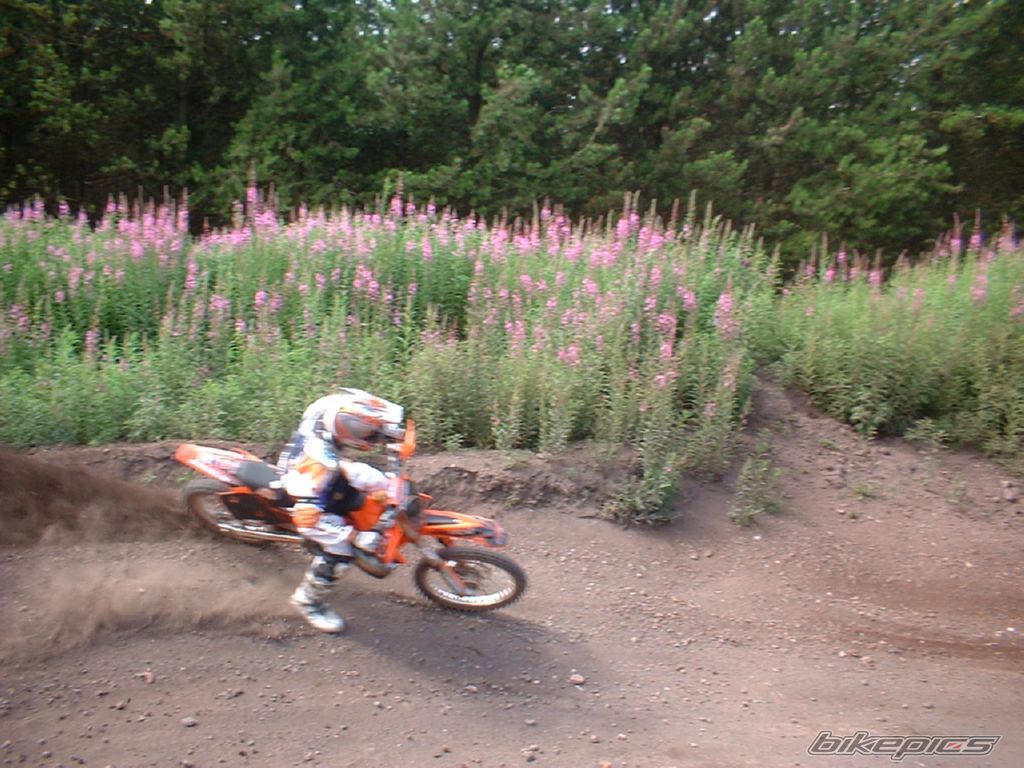2004 KTM 125 SX | Picture 1005044 motorcycle photo