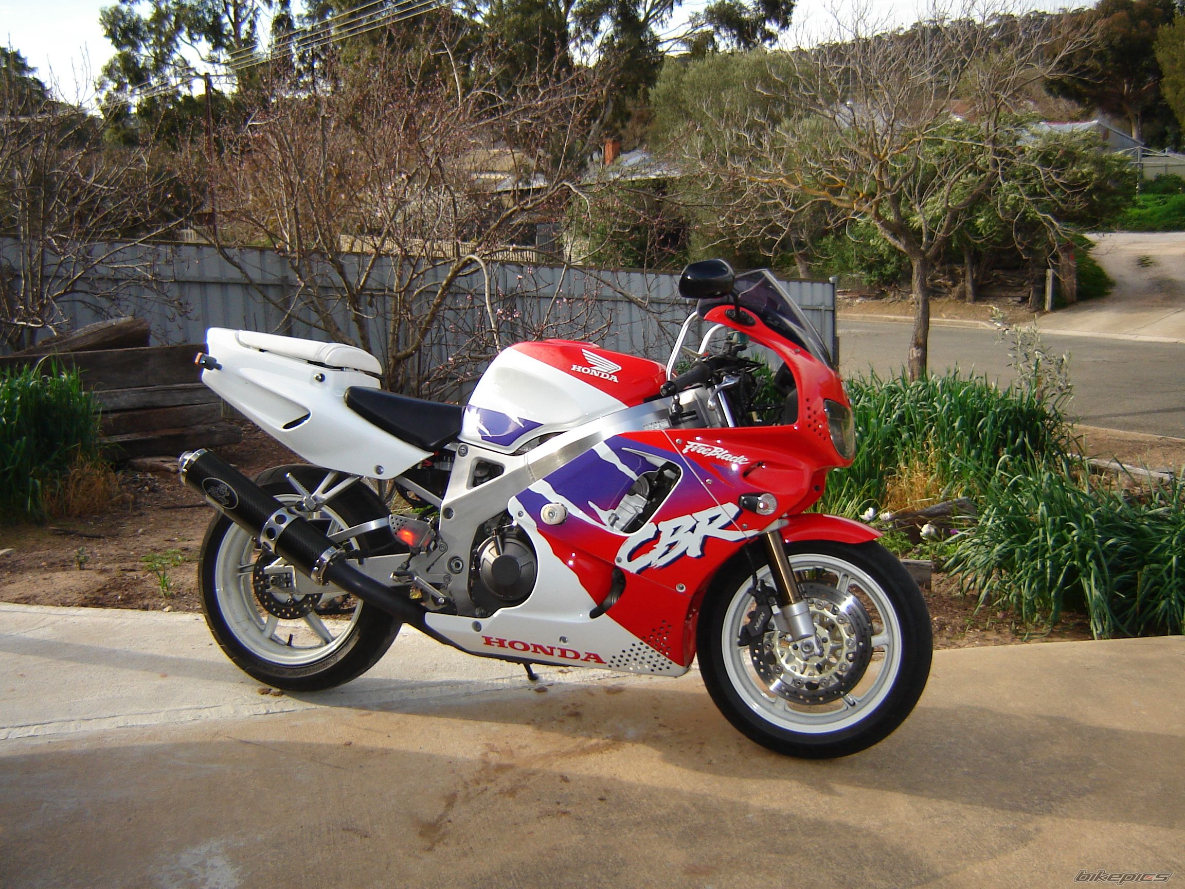 1995 HONDA CBR 900 | Picture 1005124 motorcycle photo