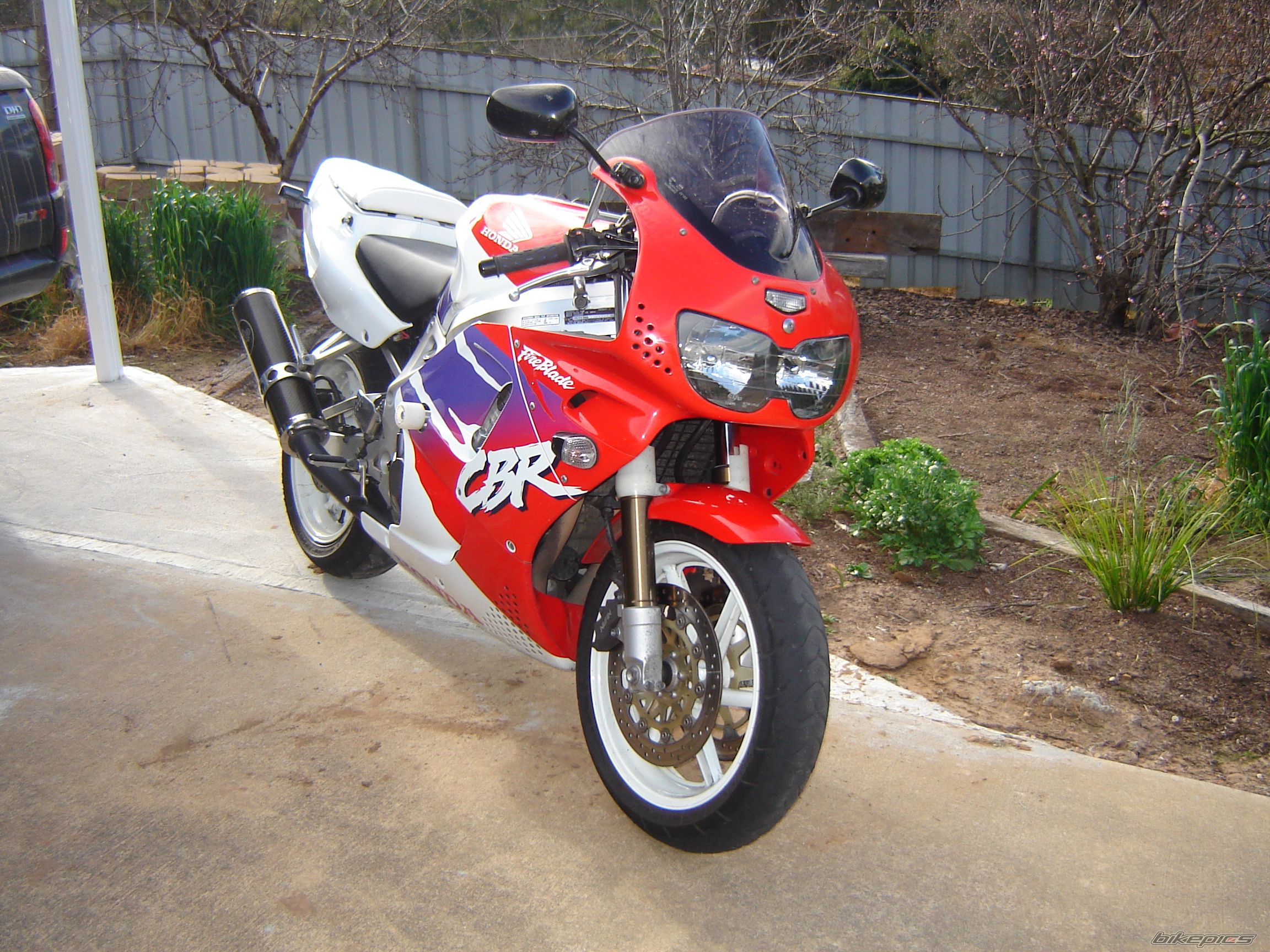 1995 HONDA CBR 900 | Picture 1005134 motorcycle photo