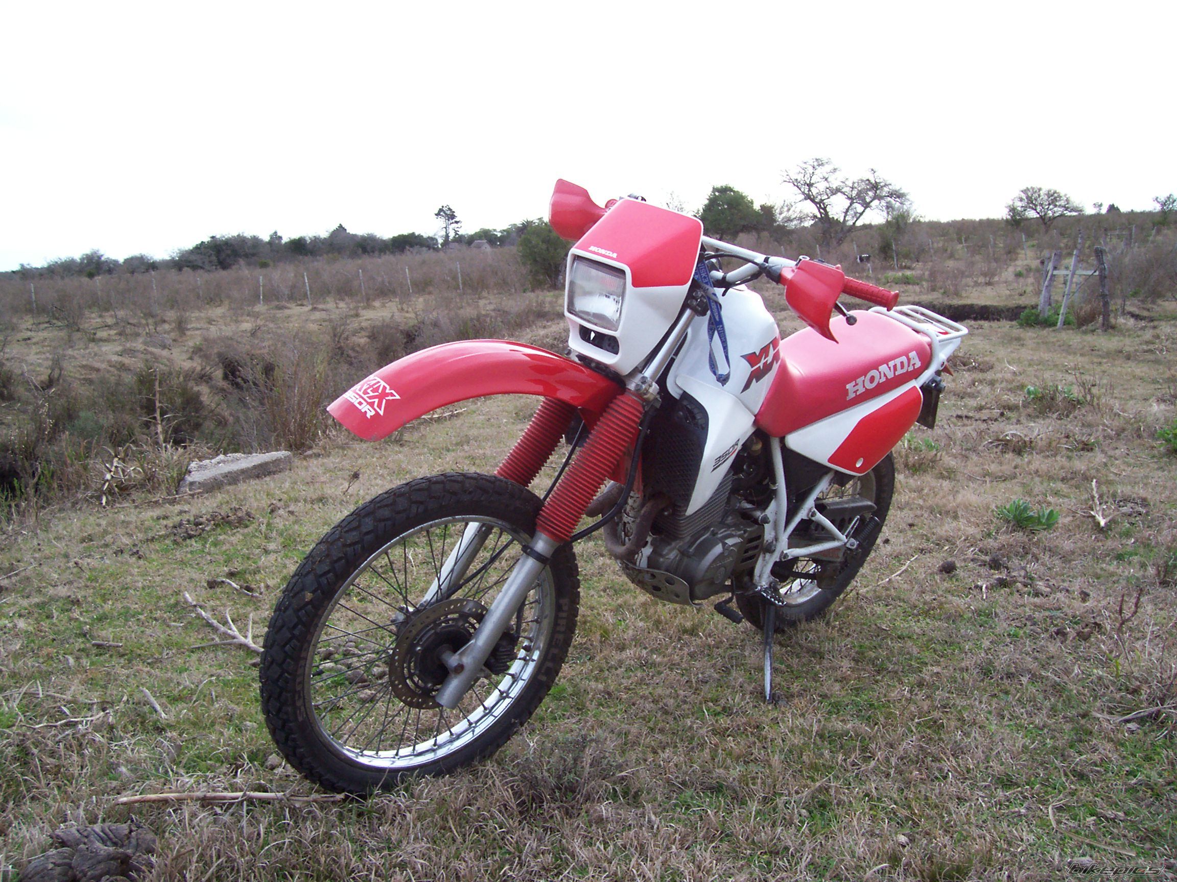 1988 HONDA XL 350 | Picture 1005135 motorcycle photo