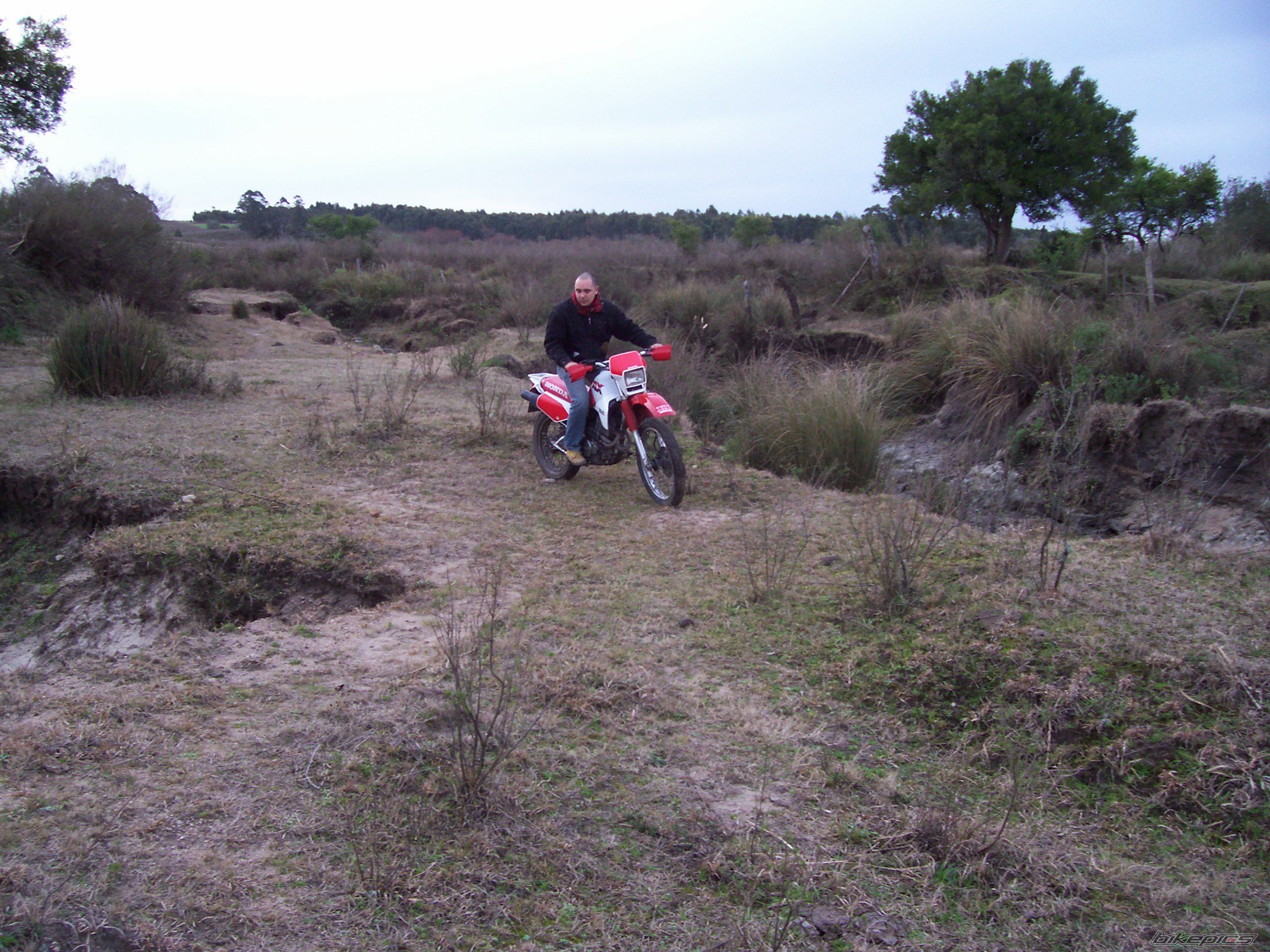 1988 HONDA XL 350 | Picture 1005189 motorcycle photo