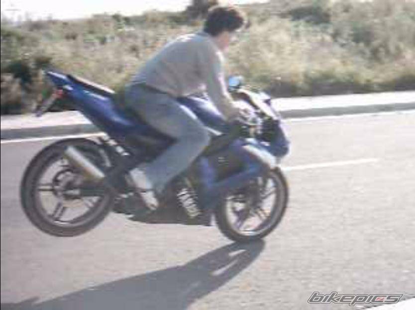 2003 YAMAHA TZR 50 | Picture 100537 motorcycle photo