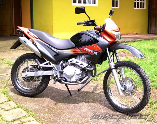 2007 HONDA NX 4 FALCON | Picture 1005530 motorcycle photo