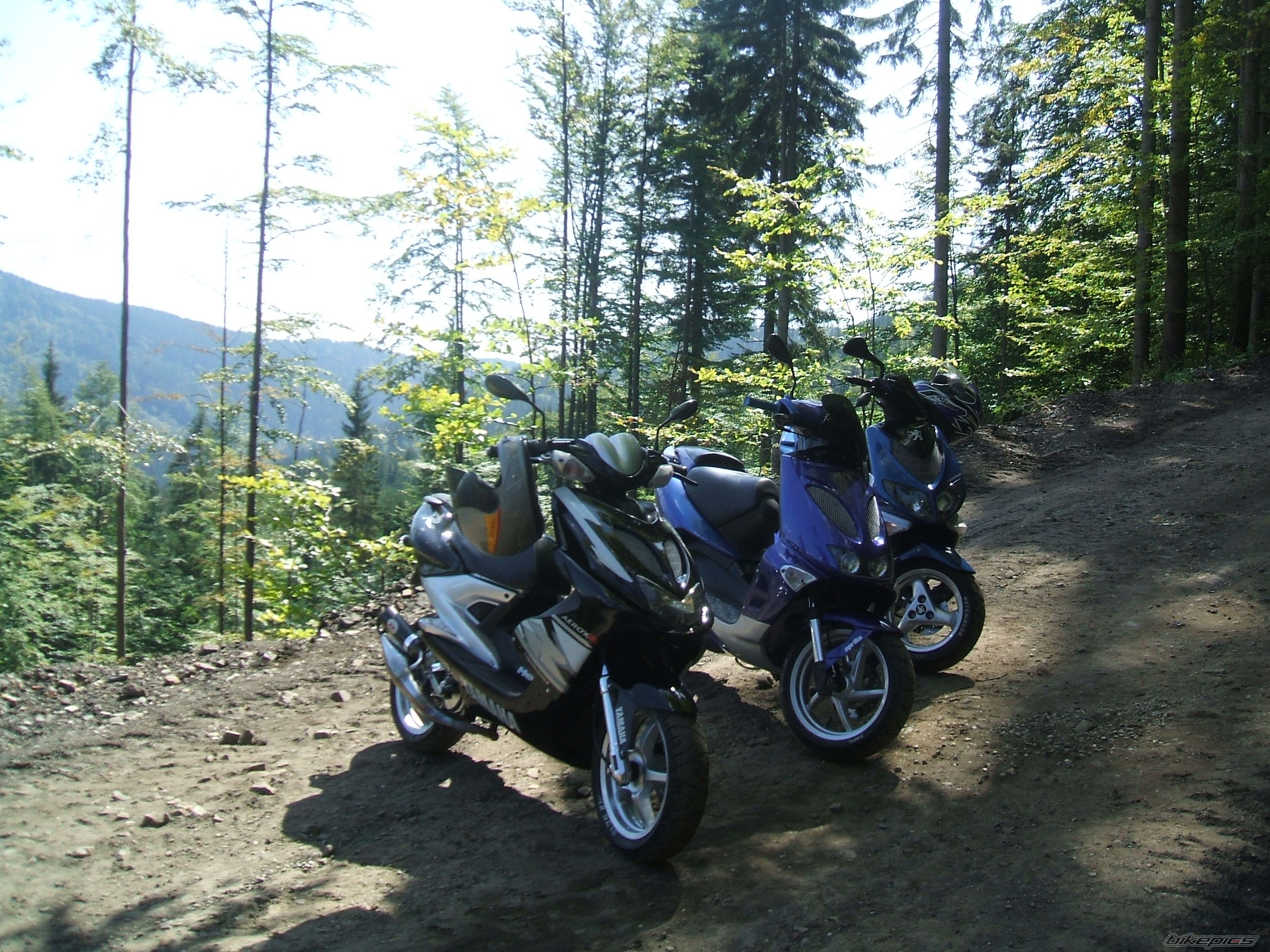 1999 YAMAHA AEROX 50 | Picture 1005582 motorcycle photo