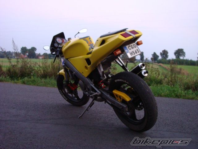 2001 DERBI GPR | Picture 1006078 motorcycle photo