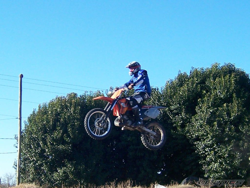 1999 KTM 250 SX | Picture 1006158 motorcycle photo