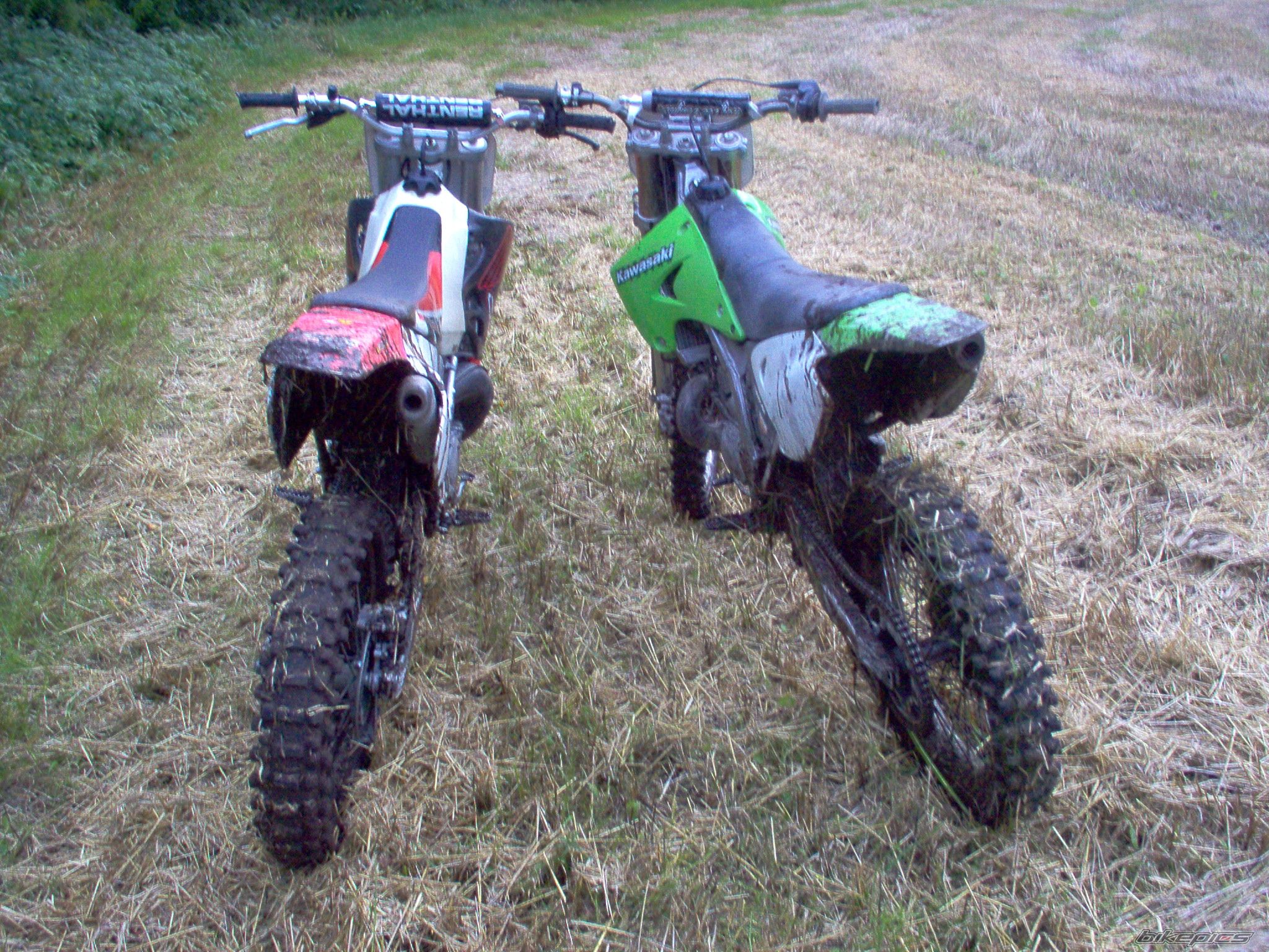 1996 HONDA CR 250 | Picture 1006347 motorcycle photo