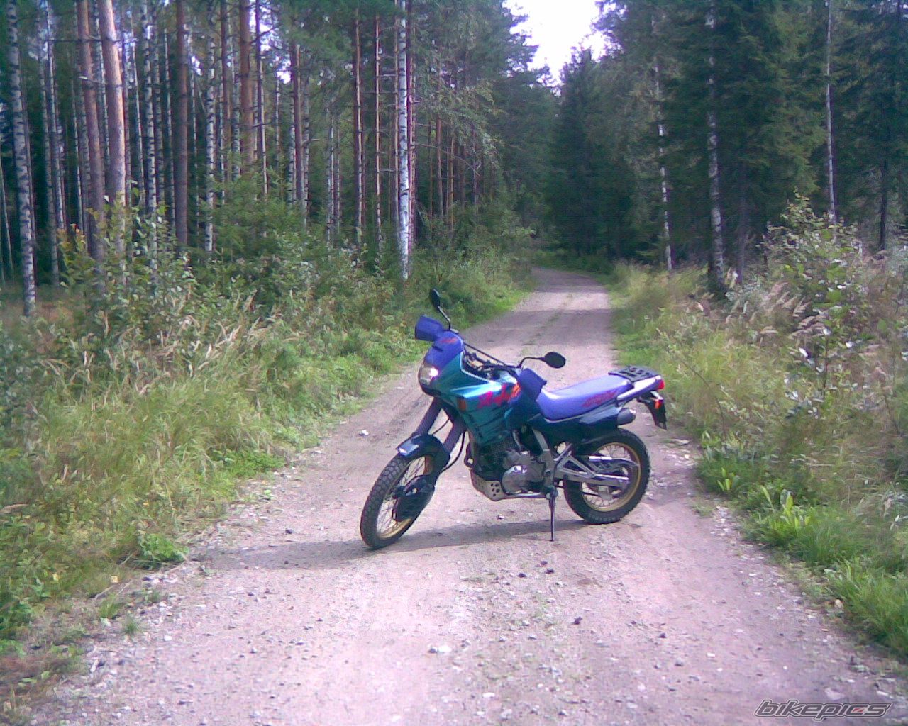 1995 HONDA NX 650 DOMINATOR | Picture 1006376 motorcycle photo