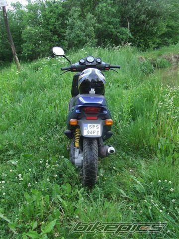1998 MALAGUTI PHANTOM 50 F12 | Picture 1006705 motorcycle photo