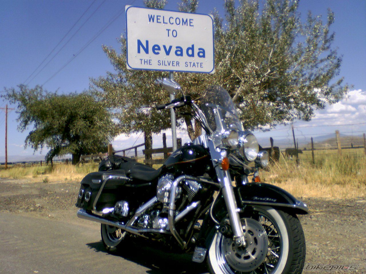 1999 HARLEY DAVIDSON FLHRCI | Picture 1006841 motorcycle photo