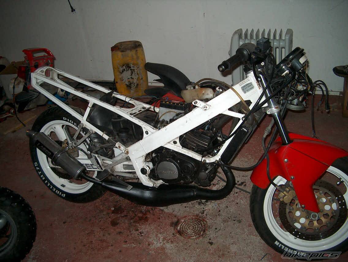 1990 CAGIVA FRECCIA C12 | Picture 100724 motorcycle photo