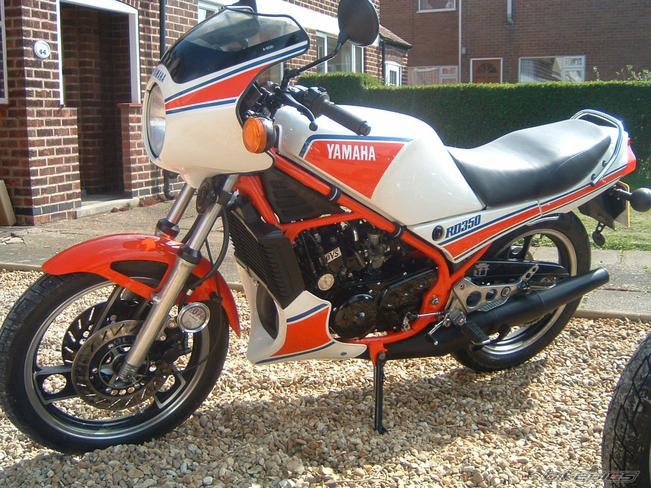 1983 YAMAHA RD350LC | Picture 1007407 motorcycle photo