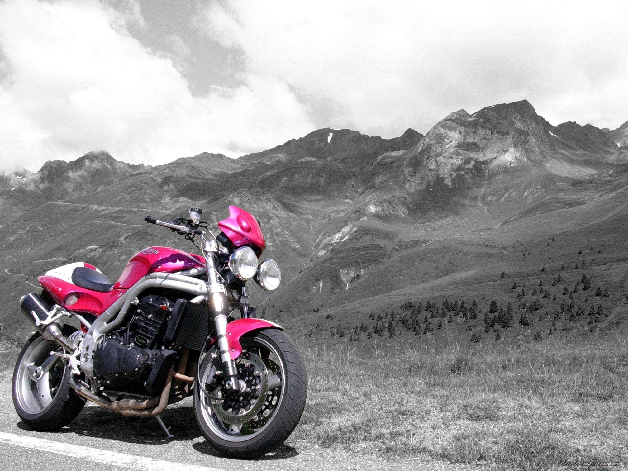 2001 TRIUMPH SPEED TRIPLE | Picture 1007410 motorcycle photo
