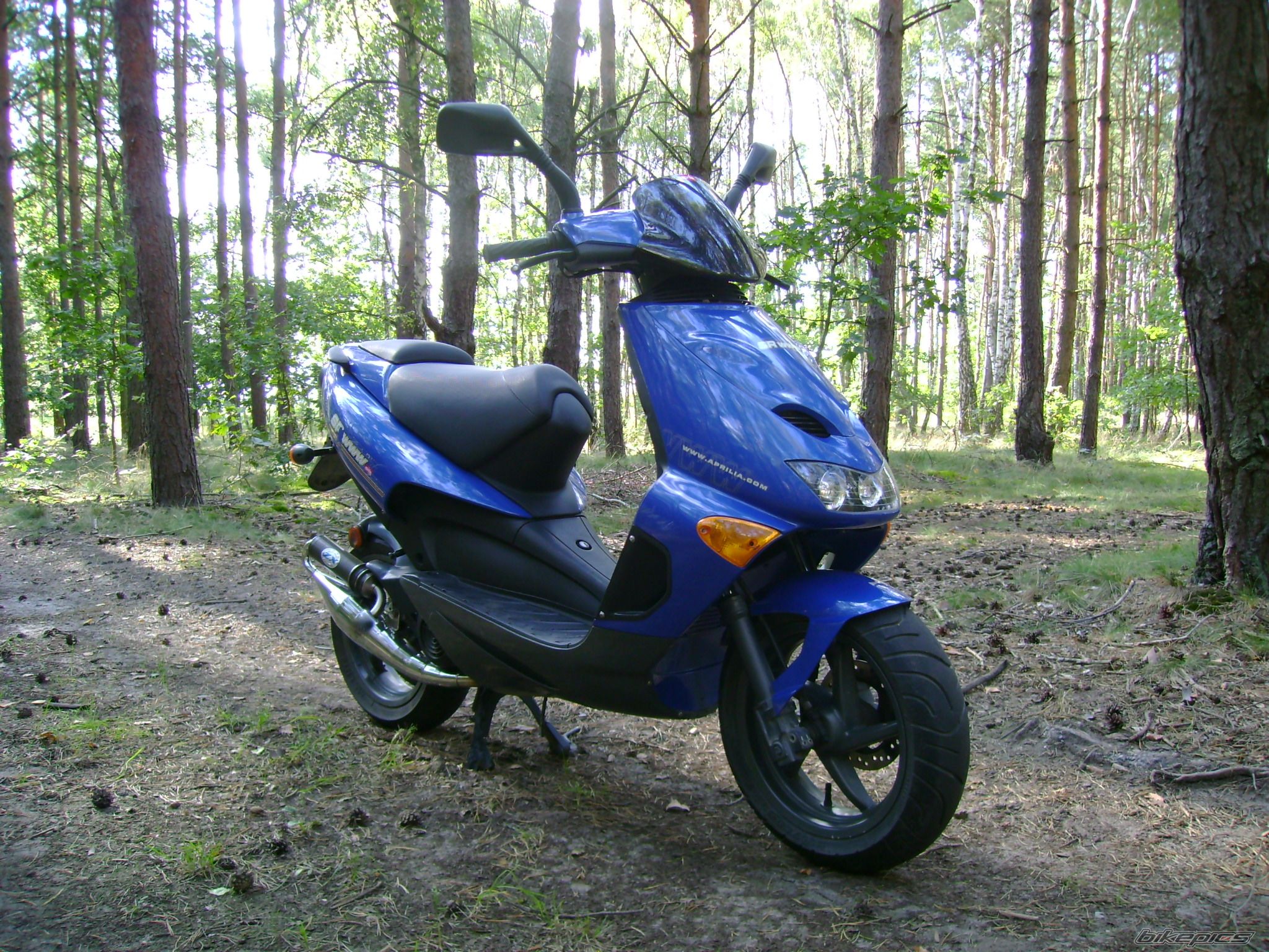 2001 APRILIA SR WWW 50 | Picture 1007624 motorcycle photo