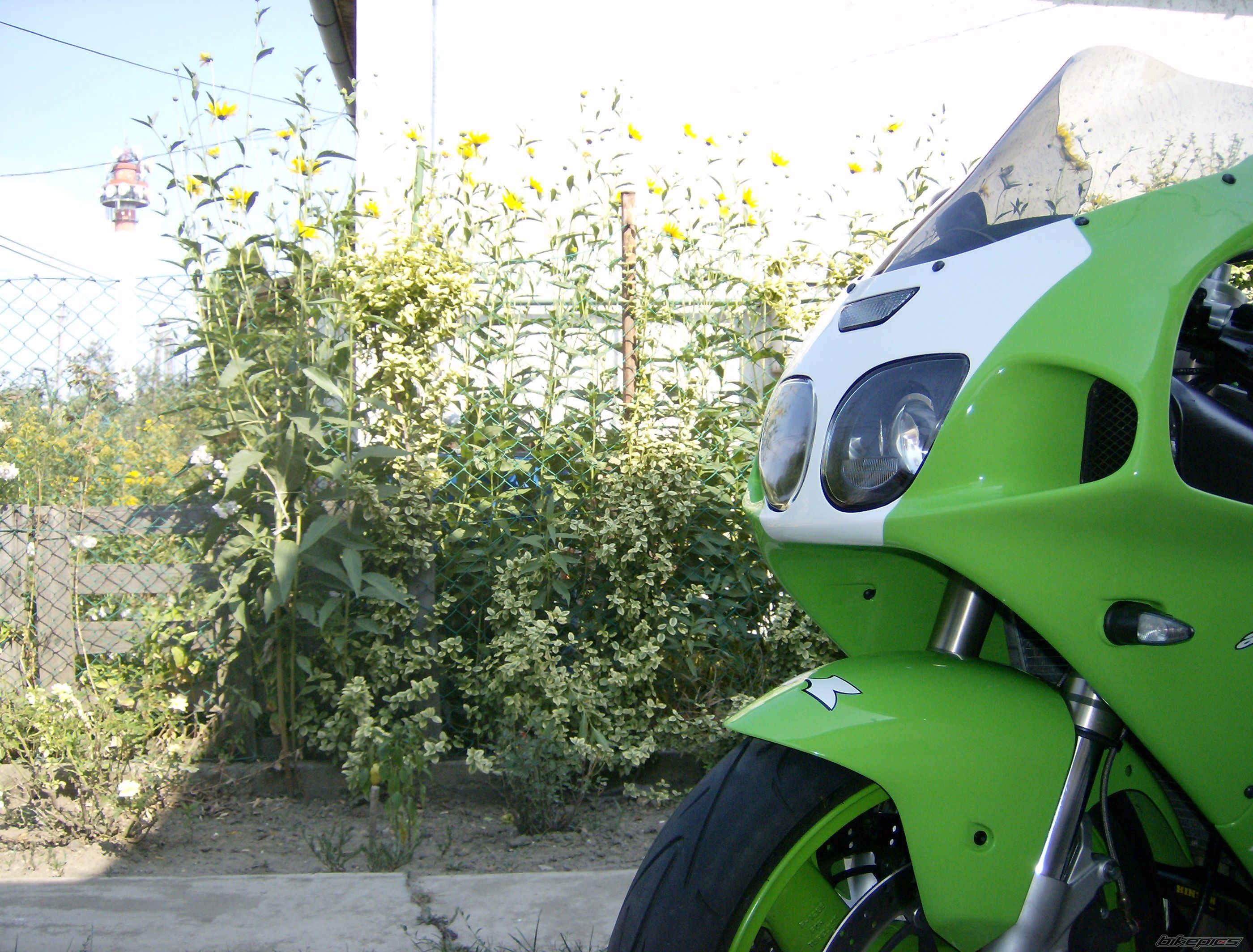 2007 KAWASAKI ZX 7R | Picture 1007737 motorcycle photo