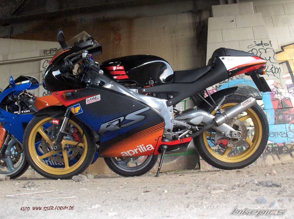 2003 APRILIA RS 125 | Picture 1008045 motorcycle photo