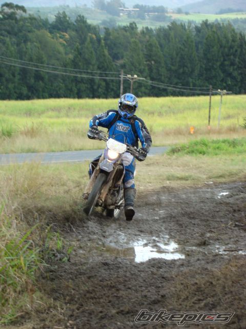 2007 YAMAHA WR450 | Picture 1008094 motorcycle photo