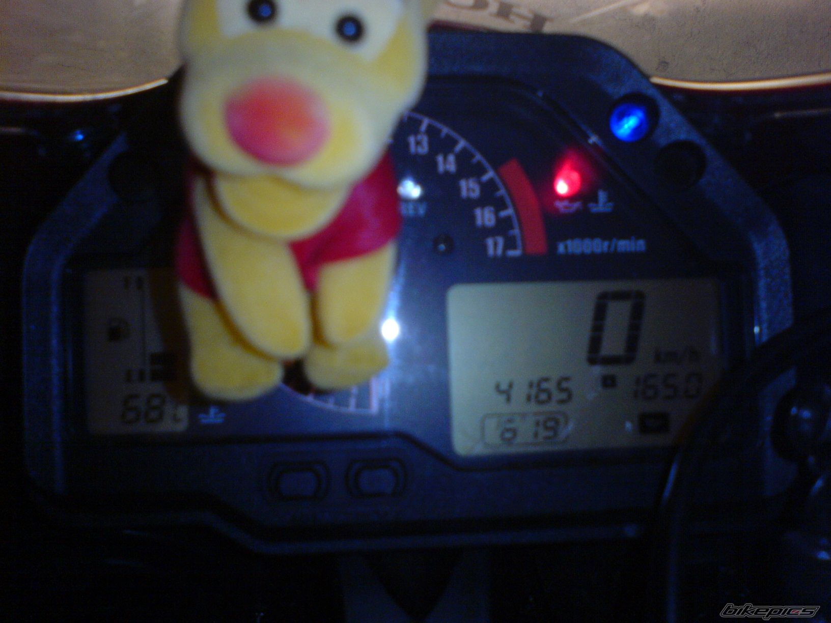 2005 HONDA CBR 600 RR | Picture 1008136 motorcycle photo