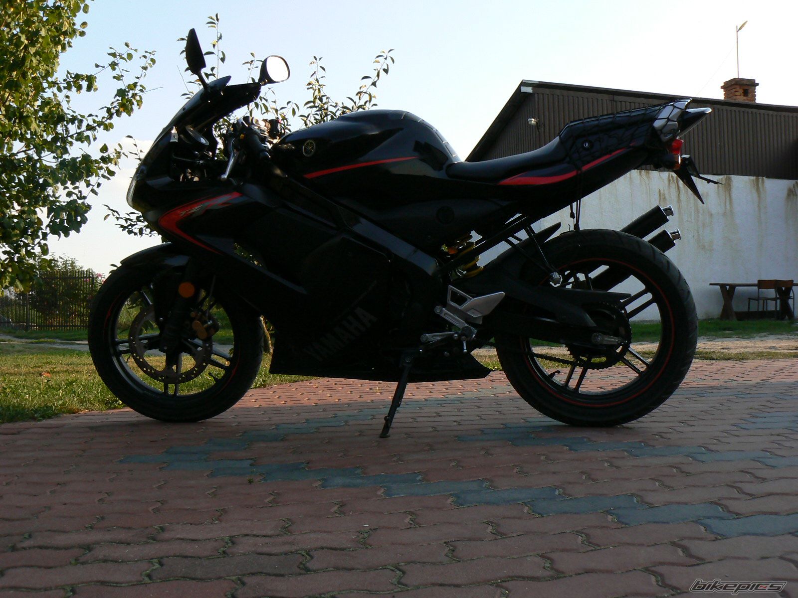 2006 YAMAHA TZR 50 | Picture 1008252 motorcycle photo