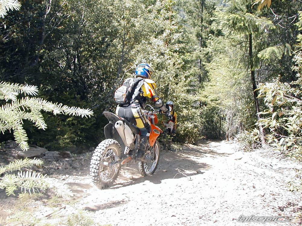 2002 KTM 250 EXC | Picture 100863 motorcycle photo
